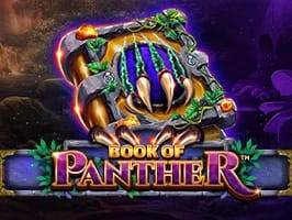 Book of Panther screenshot